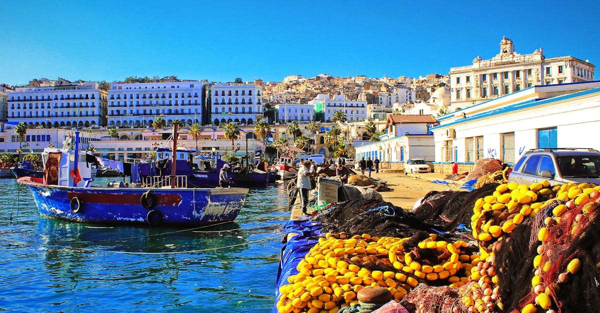 découvrez algeria ferries, votre service de transport maritime reliant l'algérie à la france et d'autres destinations. profitez de traversées confortables, de services à bord de qualité et d'une expérience de voyage inoubliable. réservez dès maintenant votre billet pour explorer la beauté des côtes algériennes.
