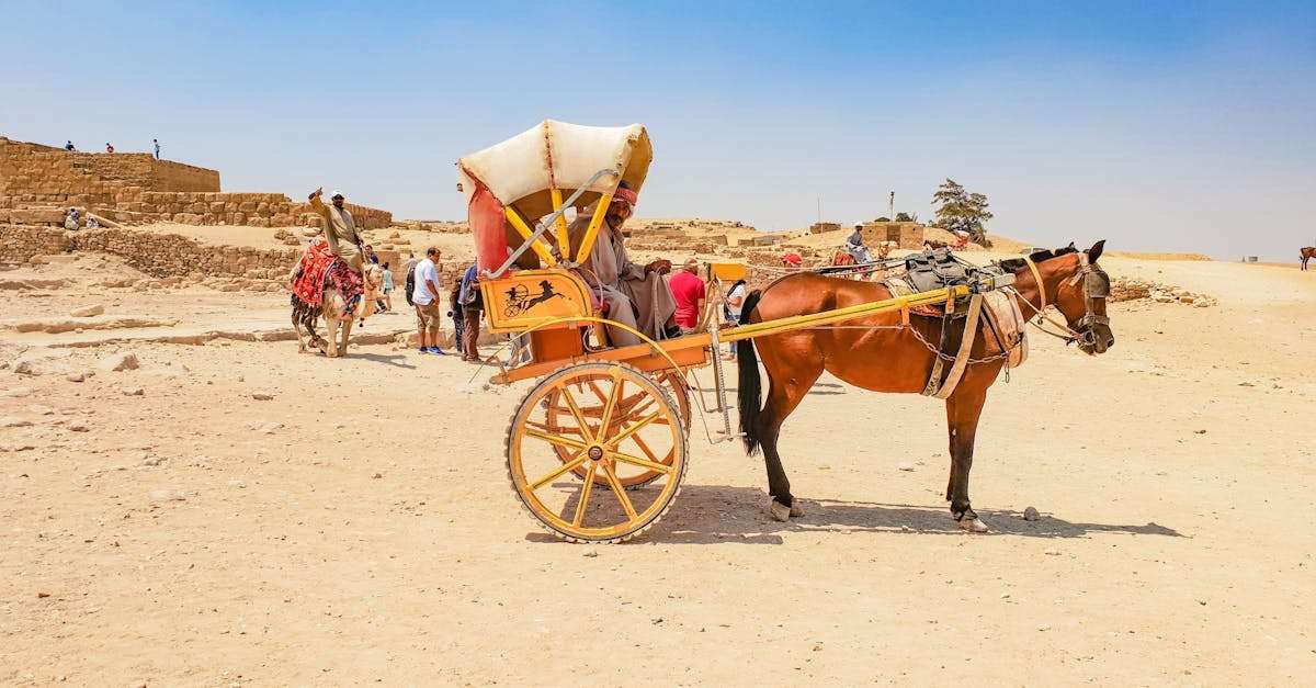 explorez les merveilles de l'égypte ancienne, une civilisation fascinante qui a marqué l'histoire par ses pyramides majestueuses, ses pharaons emblématiques et ses mystères intemporels. découvrez l'art, la culture et les avancées scientifiques de cette époque légendaire.