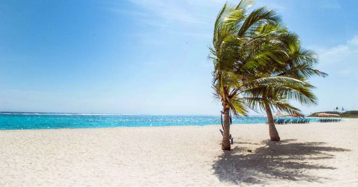 découvrez des plages paradisiaques où le soleil brille, le sable est fin et les vagues murmurent. profitez d'activités aquatiques, détendez-vous au bord de l'eau et savourez une escapade inoubliable au cœur de la nature.