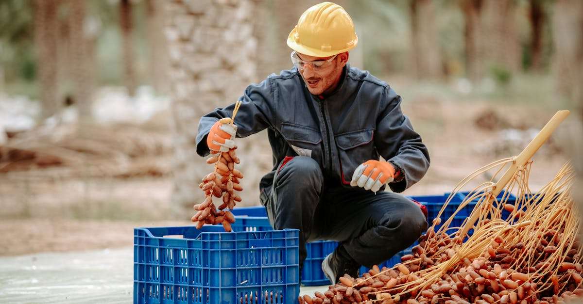 découvrez biskra, une ville fascinante en algérie, célèbre pour son riche patrimoine culturel, ses oasis verdoyantes et son ambiance chaleureuse. explorez ses sites historiques, profitez de ses paysages naturels enchanteurs et plongez dans la culture locale.