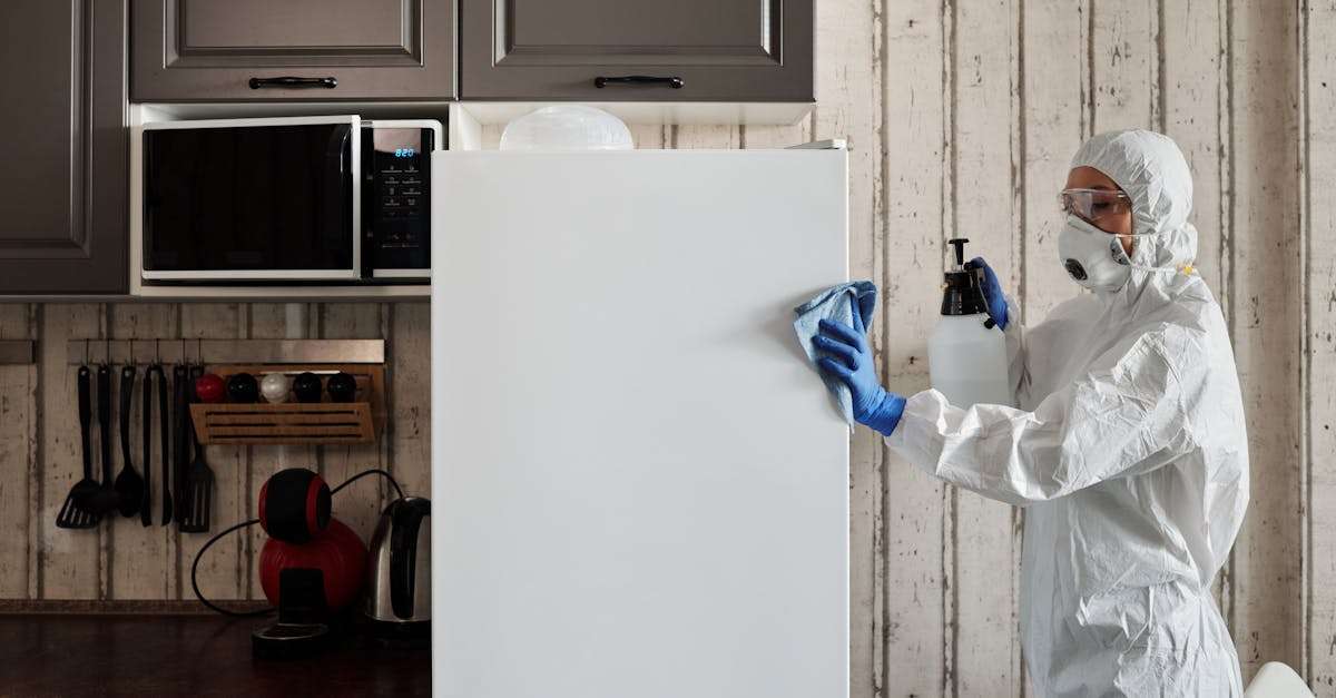 découvrez nos services de nettoyage professionnels pour un intérieur impeccable. que ce soit pour des particuliers ou des entreprises, nous offrons des solutions sur mesure pour chaque besoin. optez pour un environnement sain et frais avec notre équipe expérimentée.