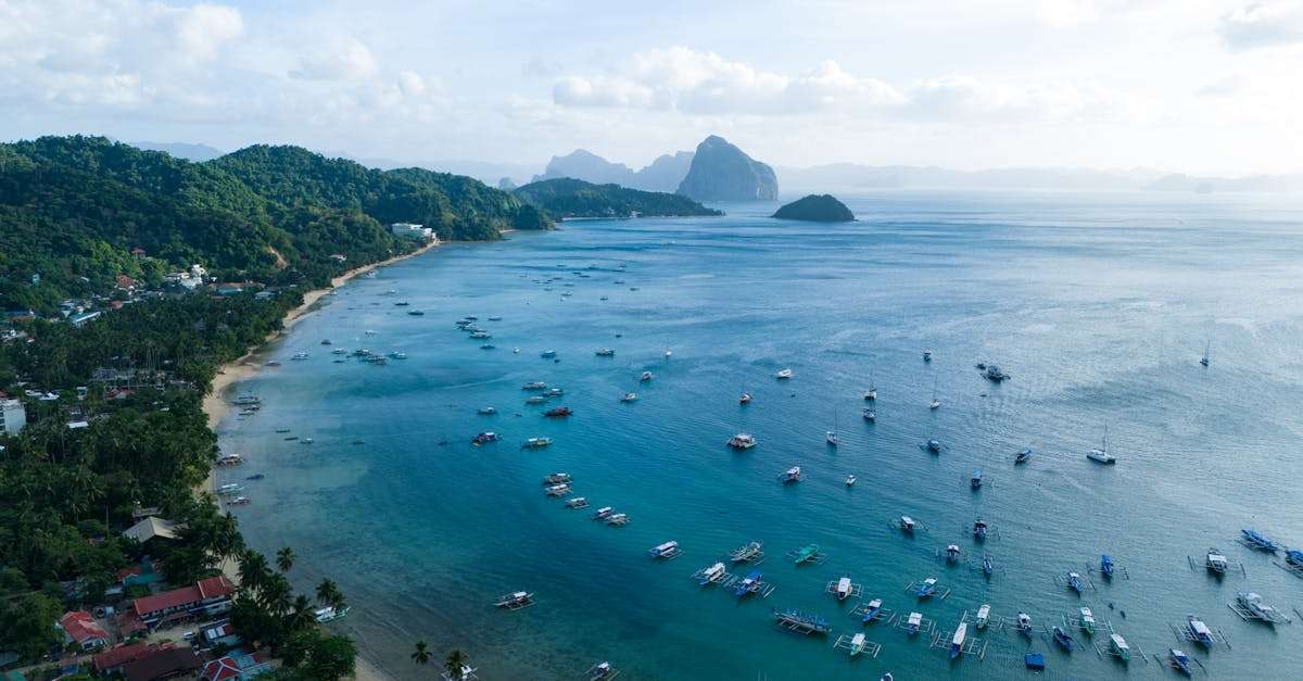 découvrez el kala, une destination fascinante en algérie, célèbre pour ses paysages naturels époustouflants, ses plages idylliques et son riche patrimoine culturel. parfait pour les amoureux de la nature et les aventuriers en quête d'authenticité.