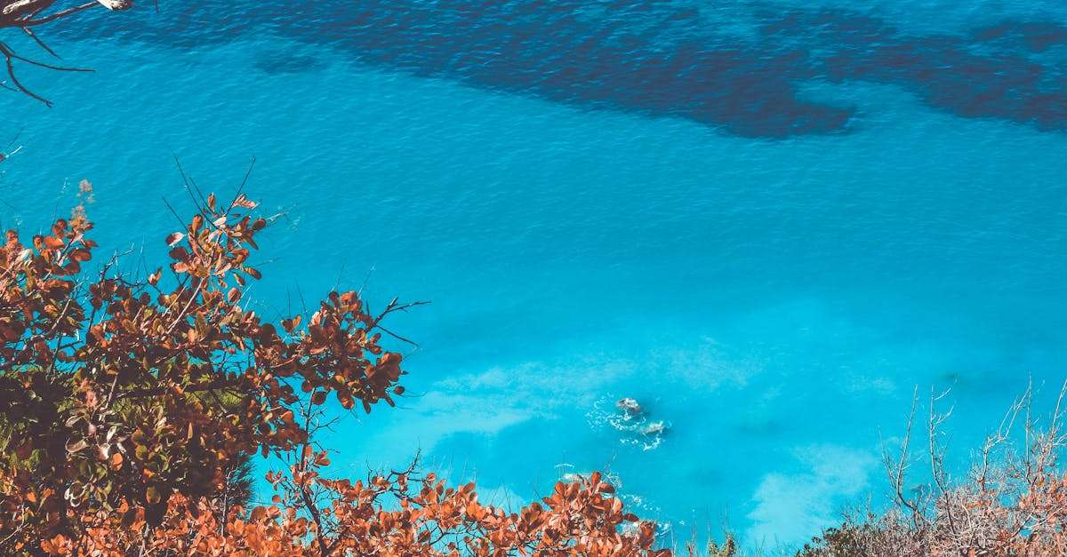 découvrez les destinations européennes incontournables qui allient culture, histoire et paysages époustouflants. explorez des villes emblématiques, des sites classés au patrimoine mondial et des coins secrets à travers l'europe pour une expérience inoubliable.