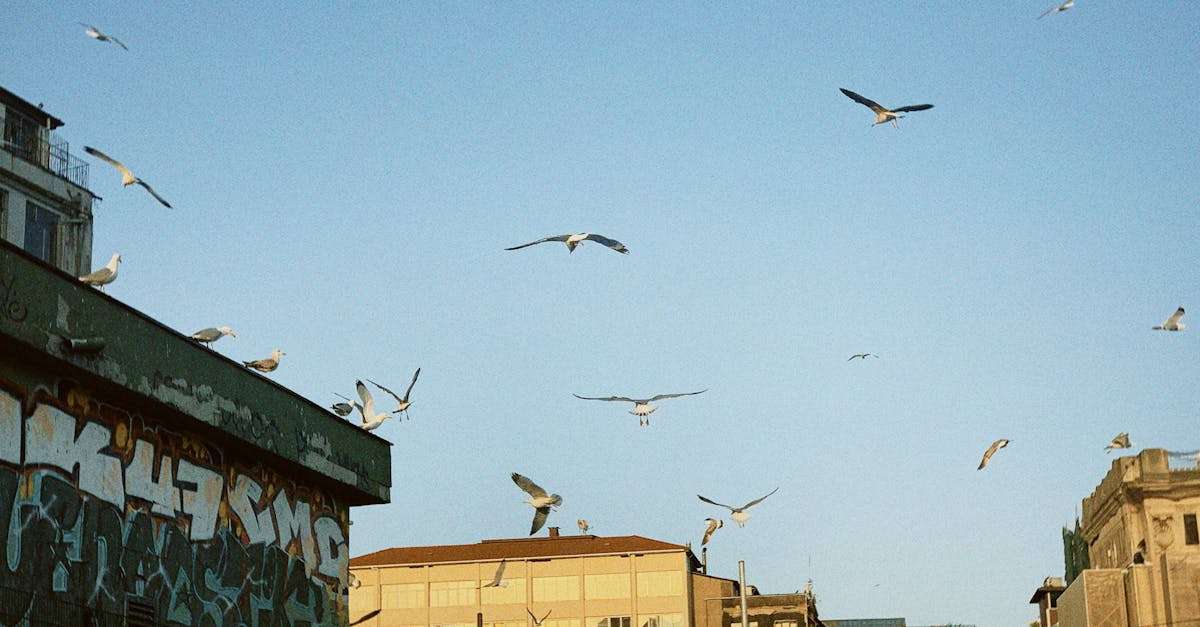 découvrez tout ce qu'il faut savoir sur les perturbations de vols : causes, impacts sur les voyageurs, conseils pratiques et solutions pour gérer au mieux ces situations imprévues.