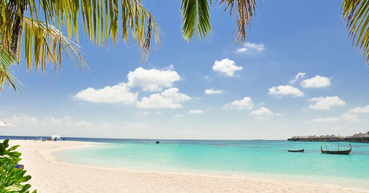 découvrez l'île paradisiaque où la nature rencontre la tranquillité. plages de sable fin, paysages époustouflants et aventures inoubliables vous attendent. planifiez votre escapade sur cette île unique, idéale pour les amoureux de la mer et de la détente.