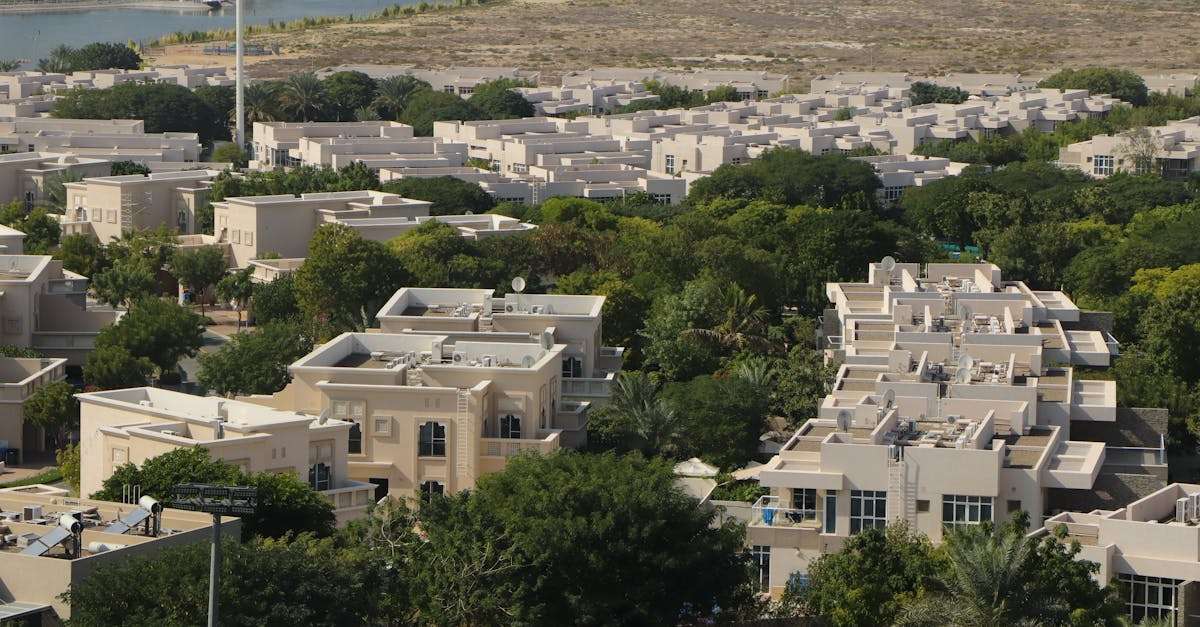 découvrez l'oasis, un havre de paix au cœur du désert. profitez d'un paysage enchanteur, de rivières cristallines et d'une flore luxuriante. un lieu idéal pour se ressourcer et se reconnecter à la nature.