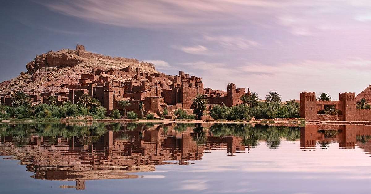 découvrez l'oasis, un havre de paix et de fraîcheur au cœur du désert. explorez ses paysages luxuriants, bénéficiez de ses bienfaits apaisants et laissez-vous séduire par une expérience unique de nature et de détente.