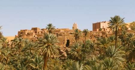 découvrez l'oasis, un véritable havre de paix au cœur des paysages désertiques. plongez dans un monde de verdure, de fraîcheur et de sérénité, où la nature reprend ses droits et invite à la détente. explorez cet écosystème unique, entre palmiers majestueux et eaux cristallines, et laissez-vous séduire par sa beauté enchanteuse.