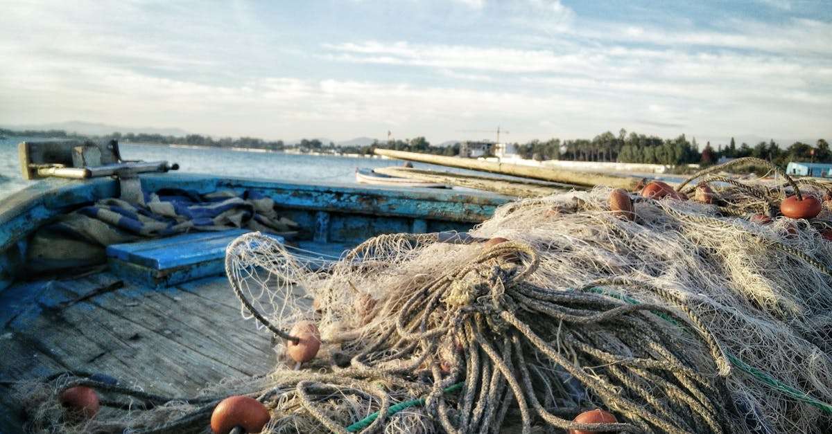 découvrez saint-tropez de tunisie, une destination balnéaire envoûtante alliant plages de sable doré, eaux cristallines et une ambiance méditerranéenne unique. plongez dans une expérience authentique entre culture, gastronomie et détente au cœur de ce joyau tunisien.