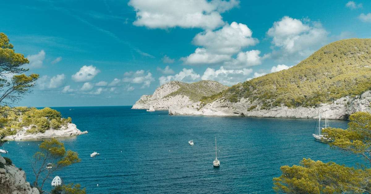 découvrez l'espagne, un pays riche en culture, gastronomie et paysages divers. explorez ses villes vibrantes, ses plages ensoleillées et son patrimoine historique unique. plongez dans la vie espagnole et laissez-vous séduire par ses traditions.