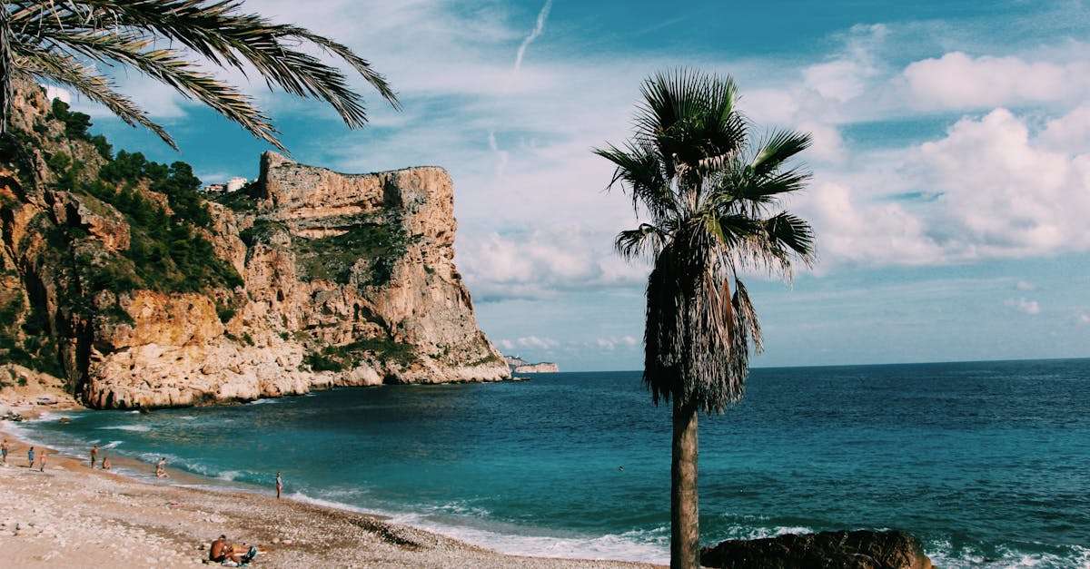 découvrez l'espagne, un pays riche en histoire, cultures vibrantes et paysages à couper le souffle. explorez ses villes emblématiques, savourez sa gastronomie variée et plongez dans la chaleur de son accueil chaleureux.