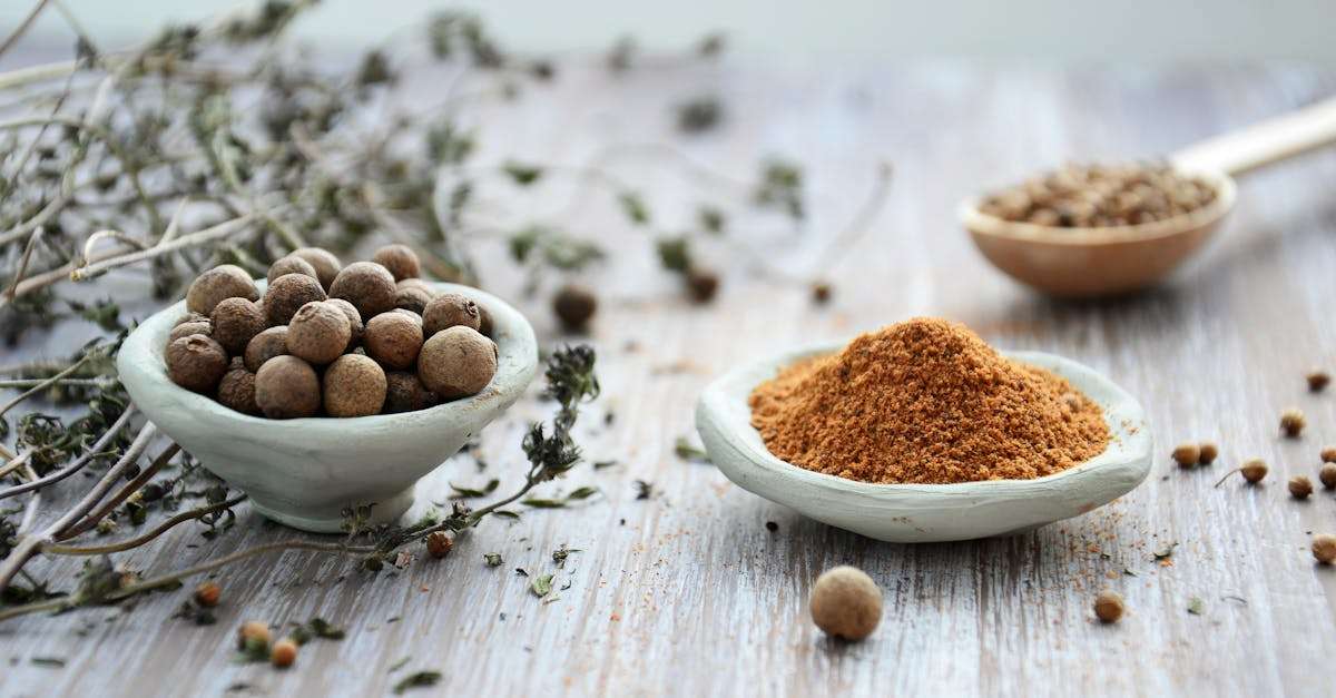 découvrez le monde fascinant des épices : des saveurs envoûtantes qui rehaussent vos plats et ajoutent une touche d'exotisme à votre cuisine. explorez notre sélection d'épices variées, apprenez à les utiliser et plongez dans l'art culinaire avec des recettes inspirantes.