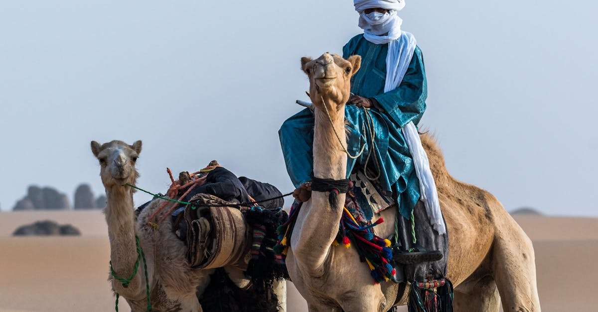 découvrez tamanrasset, une perle du sud algérien, où paysages désertiques, culture touareg et authenticité se rencontrent. explorez ses vastes dunes, ses montagnes majestueuses et laissez-vous envoûter par la richesse de son patrimoine. une destination idéale pour les amateurs d'aventure et de dépaysement.