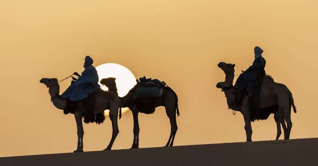 bonnes raisons de visiter Tamanrasset découvrez tamanrasset, une ville emblématique du sahara algérien, célèbre pour ses paysages époustouflants, sa culture riche et son ambiance chaleureuse. explorez les merveilles naturelles du hoggar, le patrimoine berbère et les traditions vivantes de cette région unique.