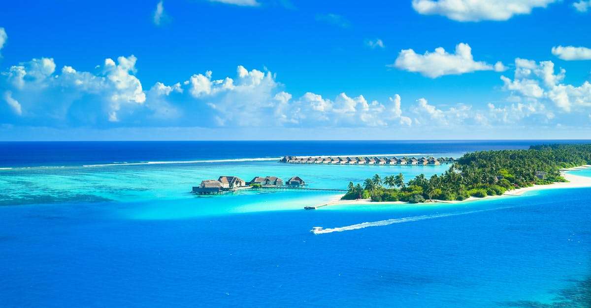 découvrez le monde fascinant du tourisme, où chaque destination offre une expérience unique. explorez des paysages époustouflants, plongez dans des cultures riches et profitez d'activités variées pour des vacances inoubliables.