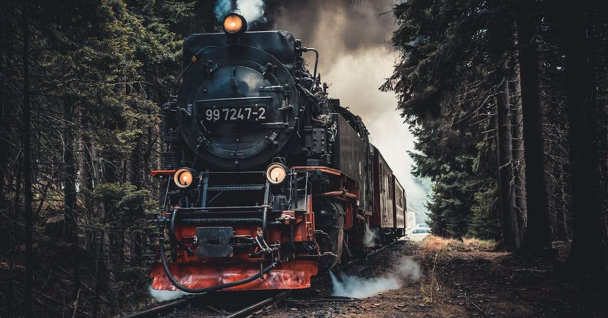 découvrez le monde fascinant des trains : leur histoire, leurs innovations et l'impact sur notre mobilité. embarquez pour un voyage inoubliable à travers les paysages et cultures.