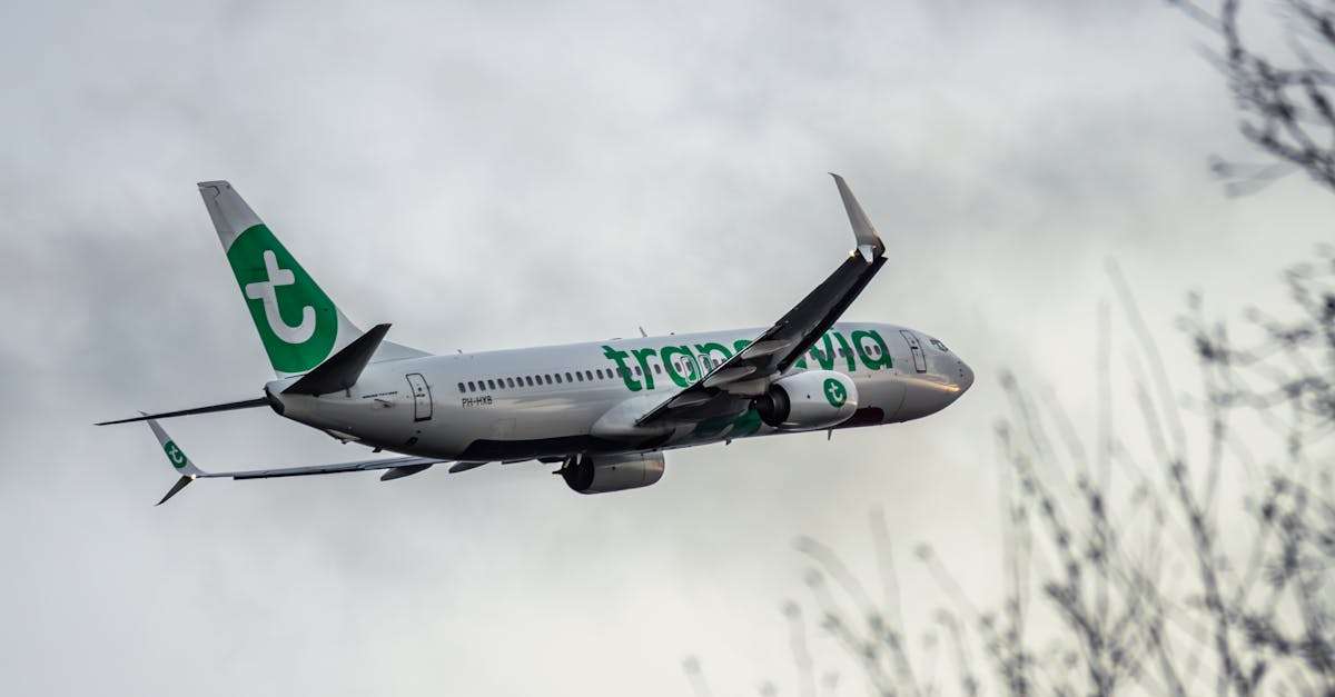 découvrez transavia, la compagnie aérienne low-cost qui vous permet de voyager à prix doux vers de nombreuses destinations en europe et au-delà. réservez votre vol et profitez de services de qualité pour un voyage agréable.