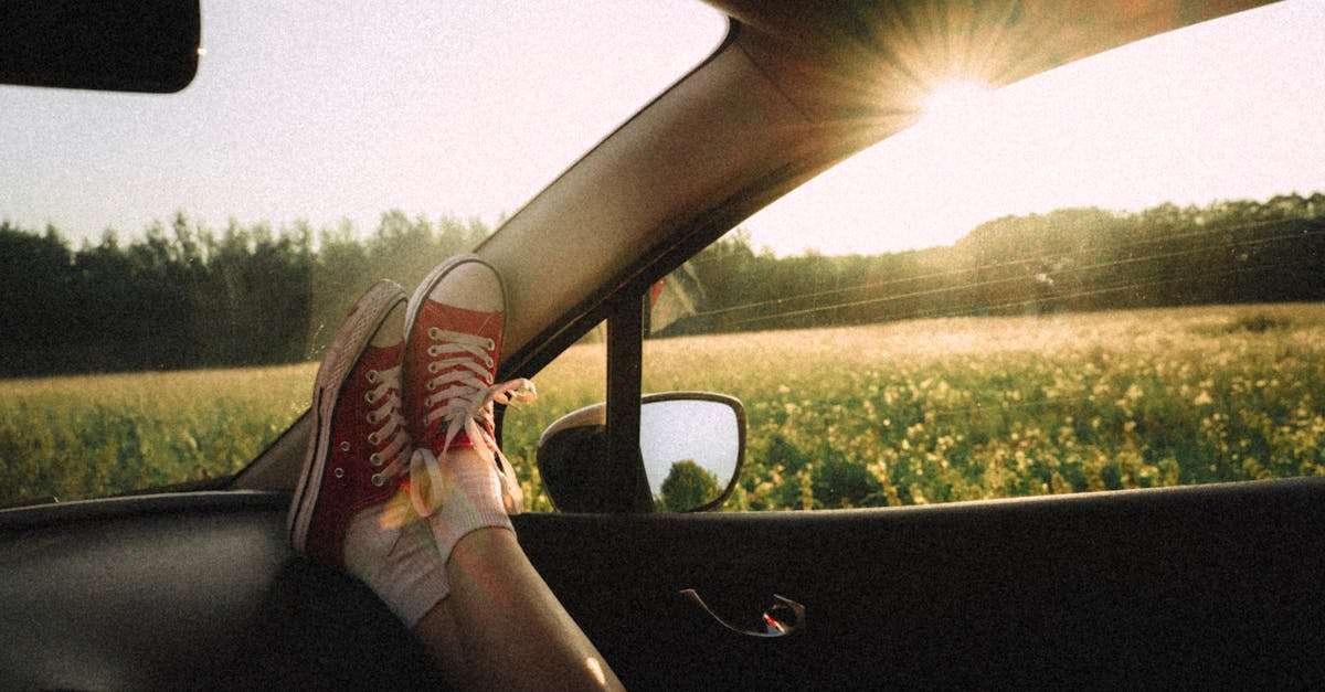 découvrez notre sélection de chaussures de voyage alliant confort et style. parfaites pour explorer de nouveaux horizons, nos chaussures sont conçues pour tous vos déplacements, que ce soit en ville ou en pleine nature. voyagez avec légèreté et élégance grâce à nos modèles adaptés à toutes les aventures.