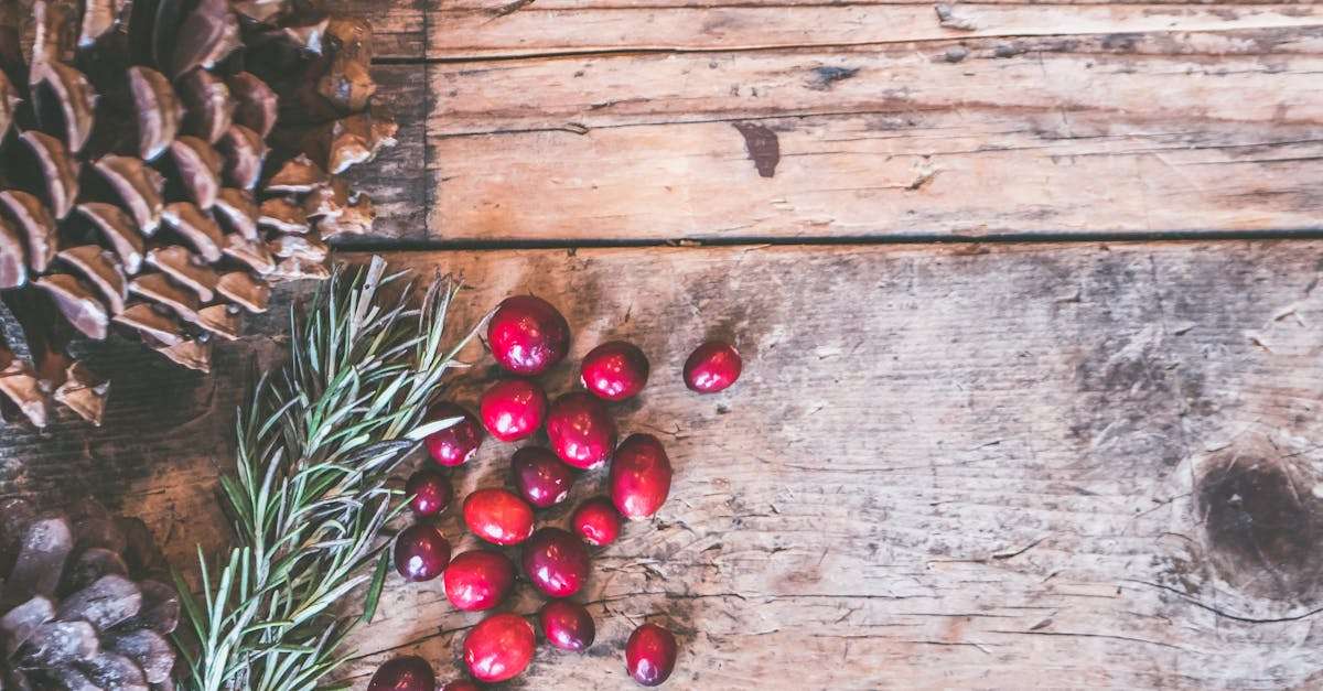 découvrez nos conseils pour des vacances d'hiver mémorables : activités, destinations, et astuces pour profiter de la magie de la saison, que ce soit au ski, en montagne ou pour un séjour cocooning. préparez-vous à savourer des moments inoubliables en famille ou entre amis !