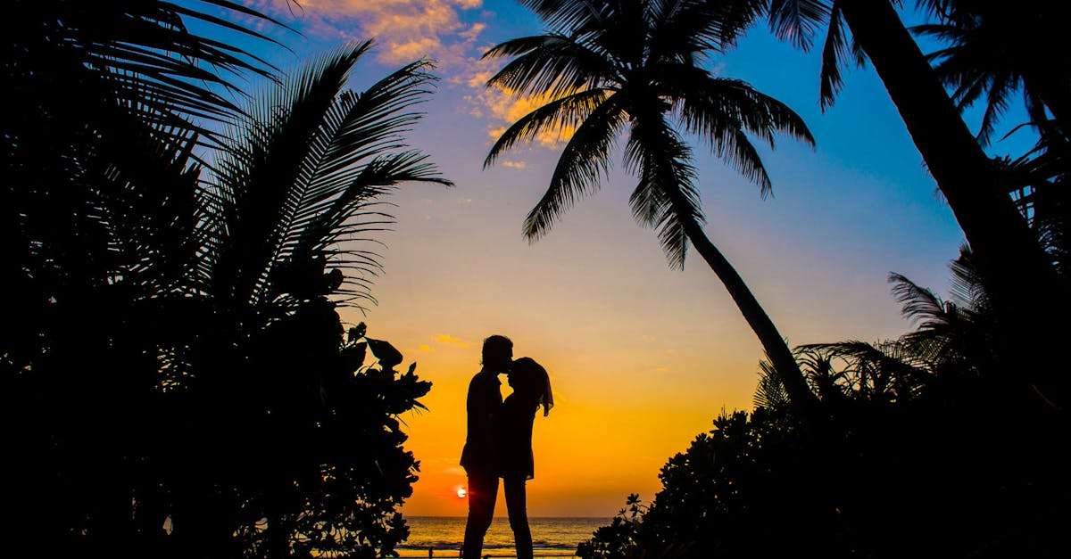 découvrez notre guide ultime pour une lune de miel inoubliable, avec des idées de destinations romantiques, des conseils pratiques et des expériences uniques pour célébrer votre amour.