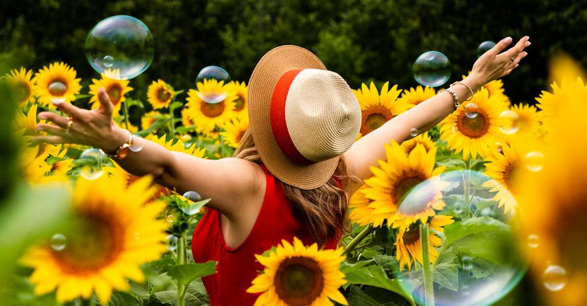 découvrez sunny, votre nouvelle source de lumière et de chaleur ! profitez d'une expérience ensoleillée avec nos produits et services dédiés à égayer votre quotidien. que vous cherchiez des conseils, des inspirations ou des offres spéciales, sunny est là pour illuminer votre vie.