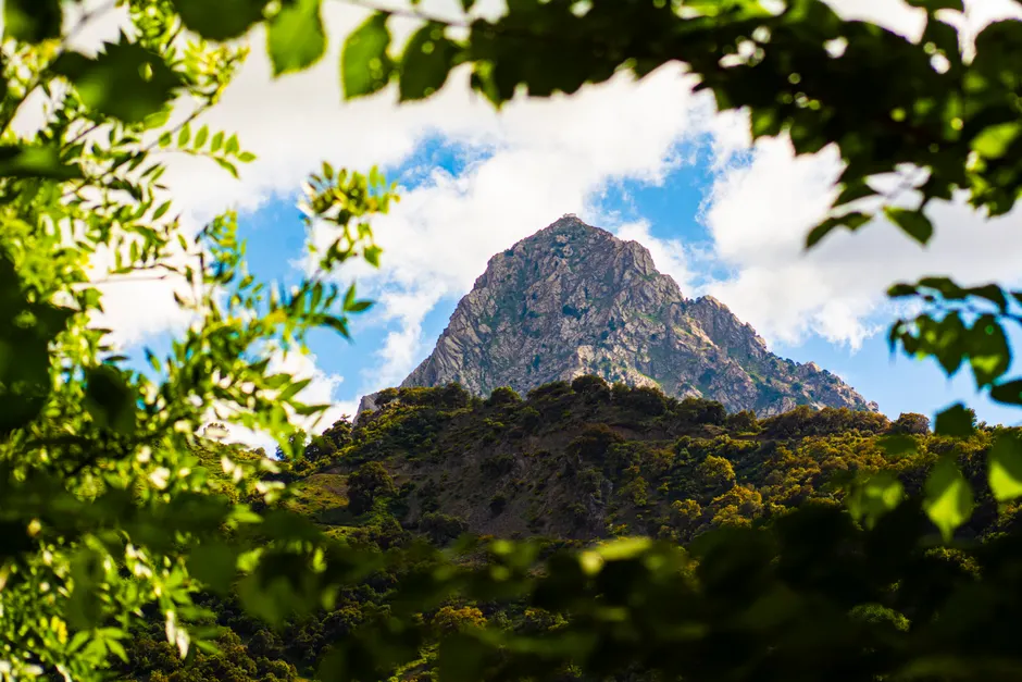 Timɣras à Tizi Ouzou : la mémoire des 145 martyrs Dramatic mountain peak framed by lush greenery in Tizi Ouzou, Algeria under a bright blue sky.