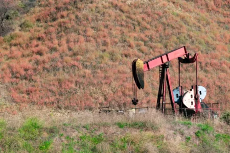 Venezuela : un départ de l’OPEP évoqué avec Washington Industrial oil pumpjack in a rural field with colorful vegetation.