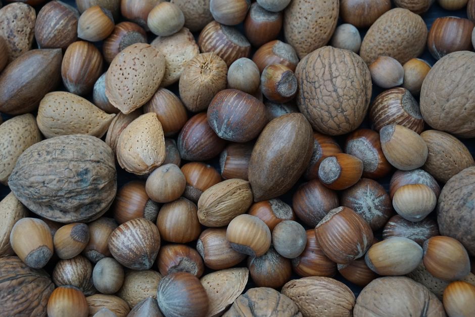 A detailed close-up of assorted mixed nuts, perfect for culinary projects and healthy eating themes.