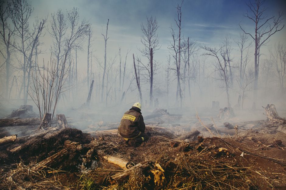 Protection civile en Algérie : les salaires à revoir A firefighter contemplatively sits among the charred aftermath of a forest fire, enveloped in mist and smoke.