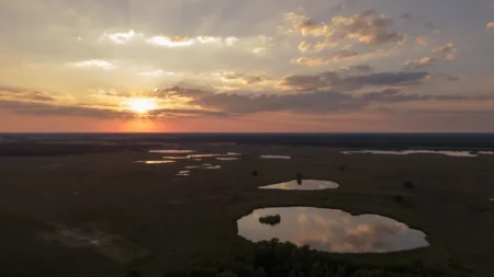 A serene sunset over the wetlands in Dwingeloo, Netherlands, with vibrant reflections and a picturesque sky.