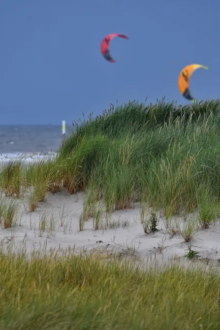 Coastal dunes with kite surfers in colorful parachutes on a windy day at the beach.