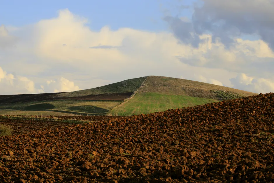 Réforme agricole en Algérie : céréales, sols et eau Serene landscape of rolling hills and fields in Algeria under a dramatic sky.